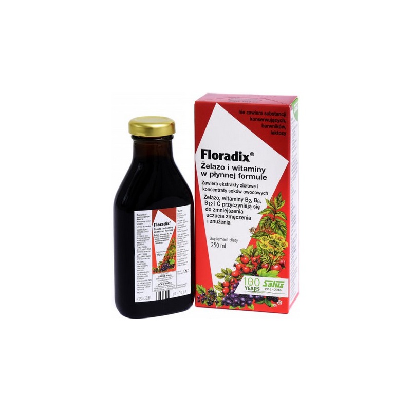 Floradix Żelazo i Witaminy Tonik 250 ml
