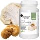 Lion's Mane ekstrakt (Soplówka Jeżowata) 40/20 400mg 90 kaps.